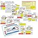 Snap Circuits Fundamentals: an Introduction to Electronics Circuits Discovery Kit