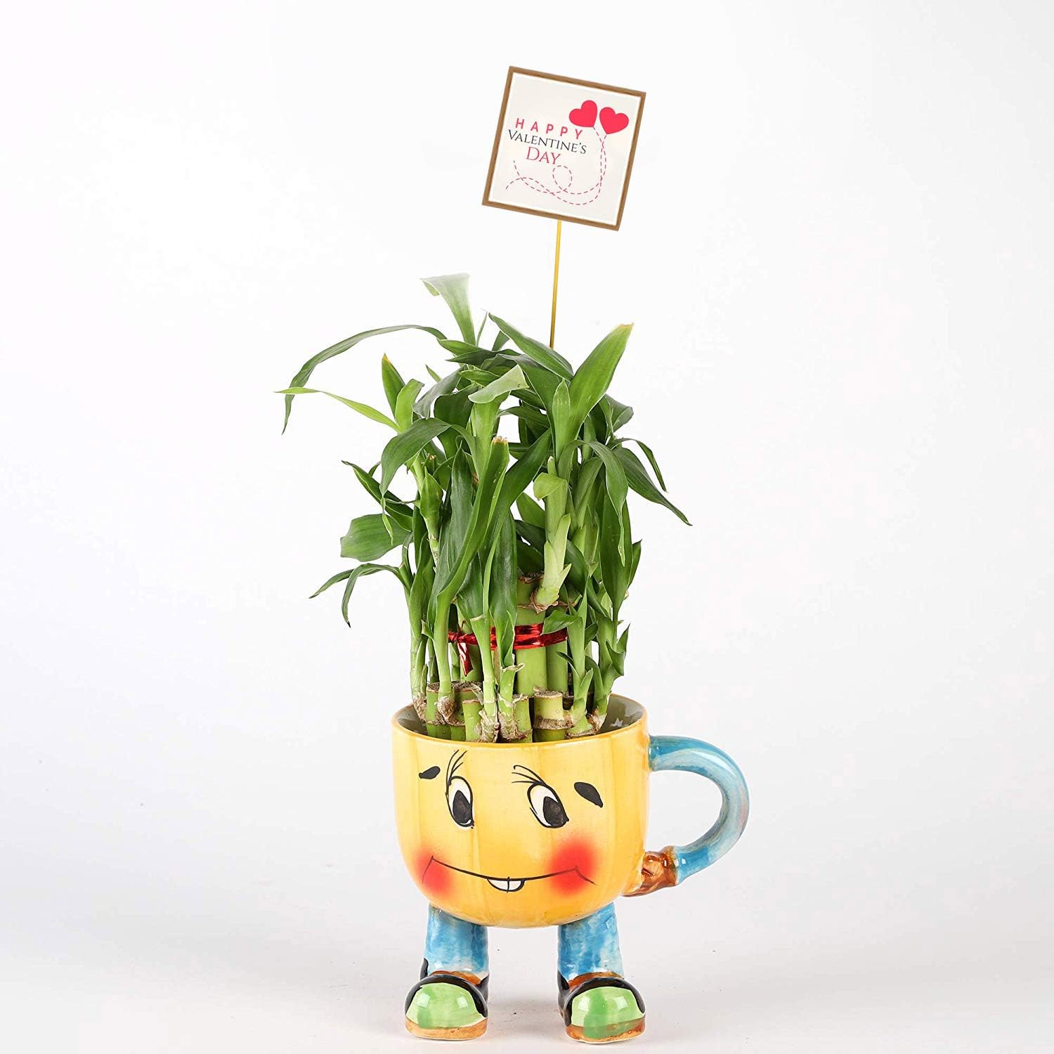 Ferns 'N' Petals 2 Layer Lucky Bamboo Plant in Yellow Ceramic Smiley Pot