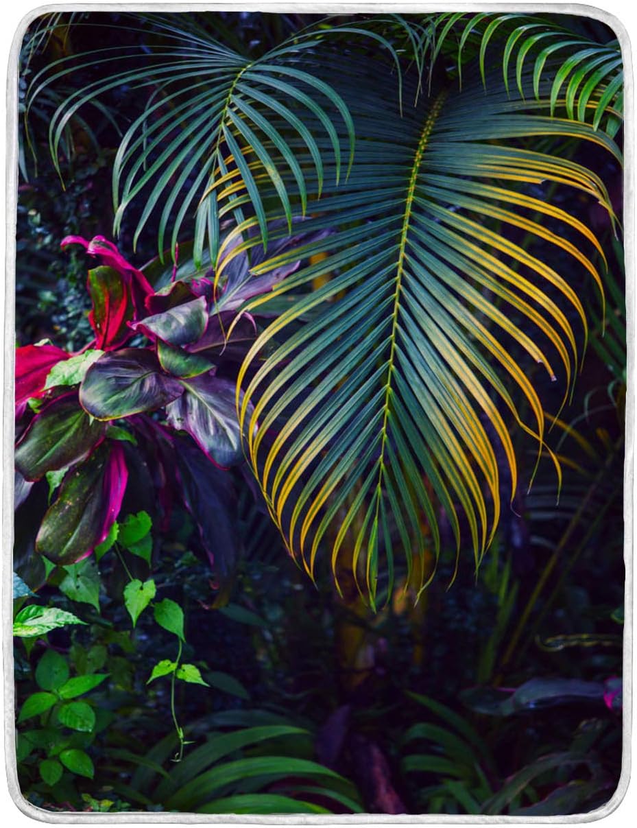 BEIVIVI Tropical Blanket Throw Blanket Weighted Blanket Tropical Garden Background Soft Blanket for Bed,Couch,car,Office,Camping Travel and Gifts,80Wx90L