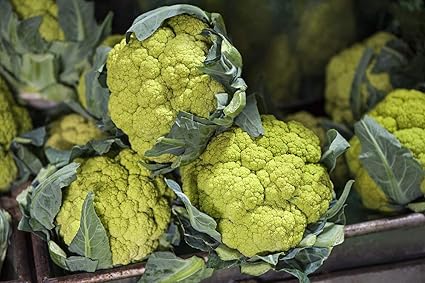 Chou Fleur Vert Verde Di Macerata Graines Amazon Fr Jardin