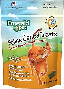 rehome havanese available