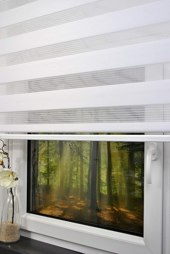 Double Roller Blind 200 cm Wide 250 cm Long White with Wide Weight