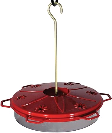 Amazon Com Audubon Hummingbird Feeder Nah1 12 Ounce Nectar