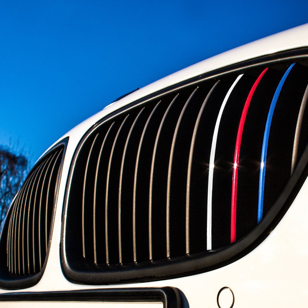 GRILLE KIDNEY M COLOR STRIPE DECAL VINYL STICKER FIT BMW M3 E39 E46 E90