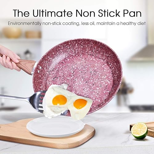 10 Best Pans to Cook Eggs 2020 My Cooking Town