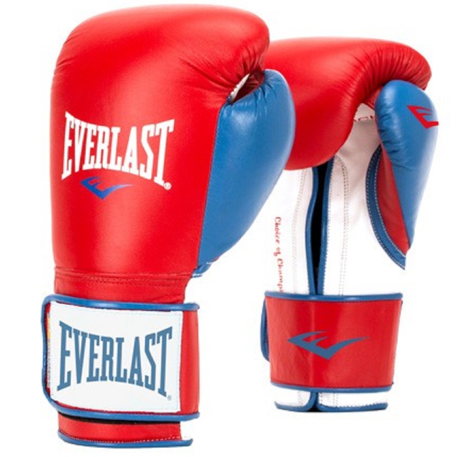 everlast powerlock leather