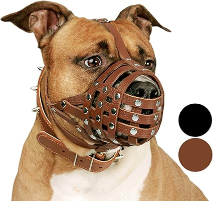 muzzle for pitbull petco