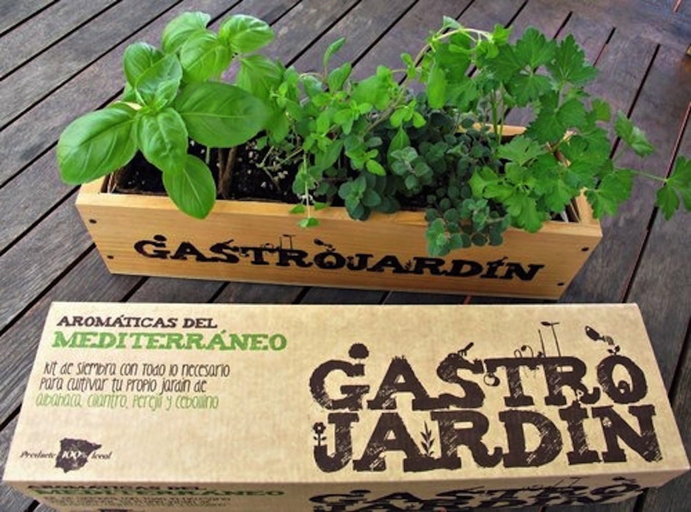 GastroJardín - Kit de siembra aromáticas del Mediterráneo: Amazon ...