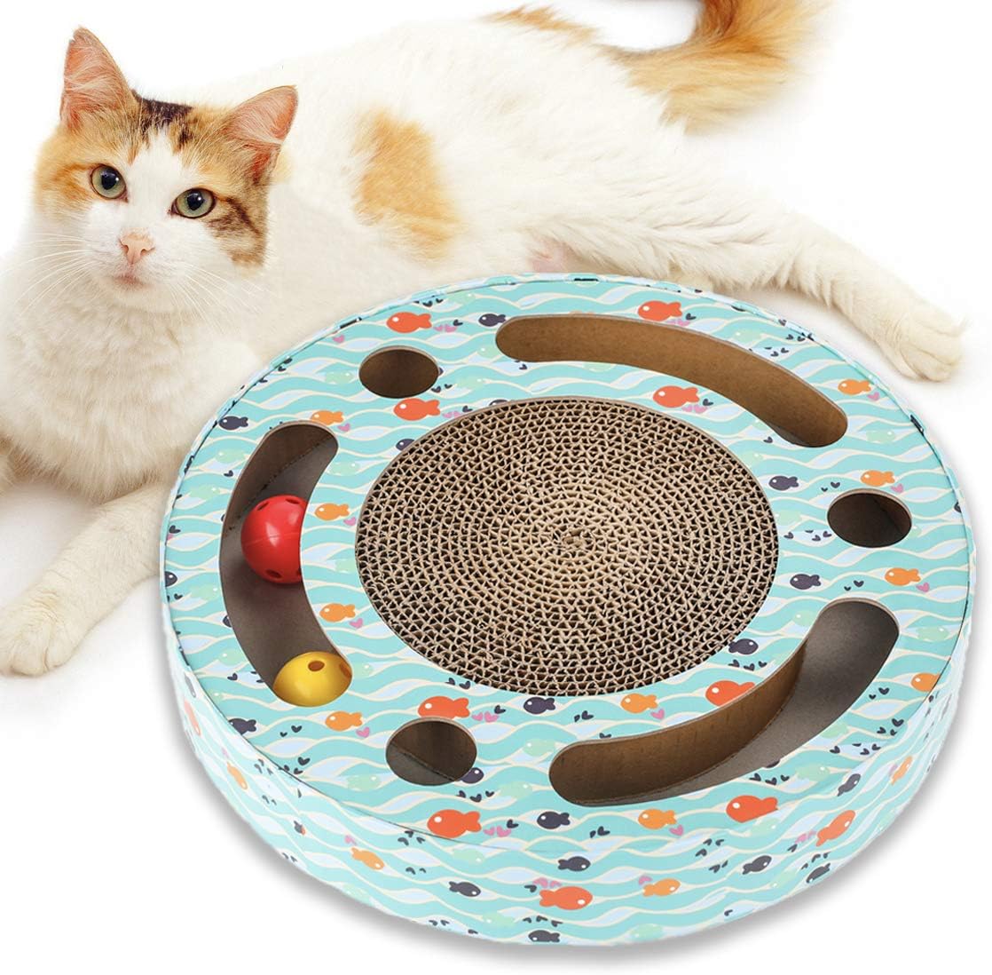 kitten scratcher