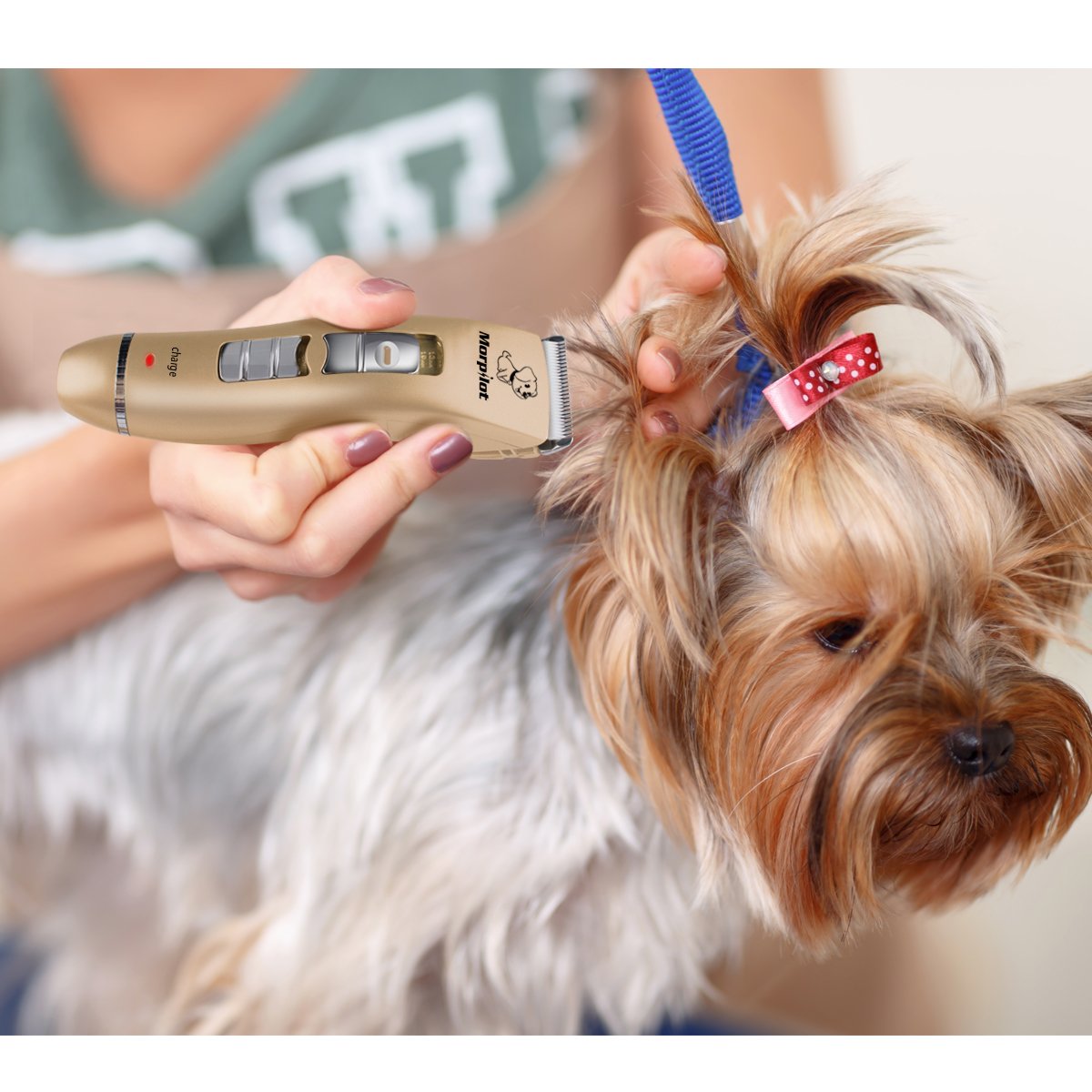 morpilot Tondeuse Chien Chat Tondeuse Animaux Electrique Professionnelle sans Fil Rechargeable USB Rasoir Toilettage Animaux Clippers avec Ciseaux et Peigne Acier et Multi Accessoires