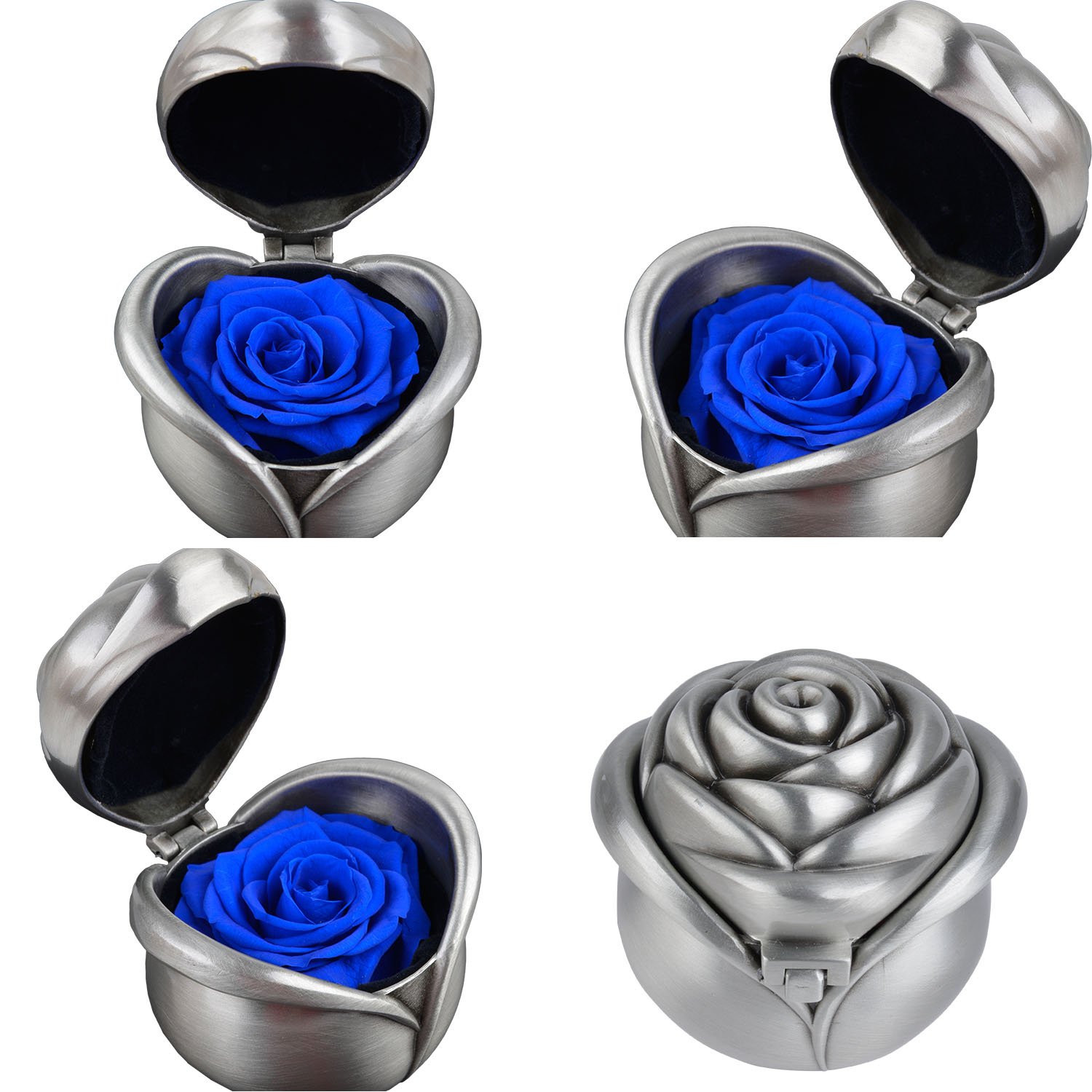 Preserved Rose Flower, Coxeer Forever Rose Never Withered Roses , Upscale Immortal Flowers, Fresh Roses, Eernal Life Flowers Proposal Wedding Birthday Valentines Day Gifts for Women Mom Gril Her