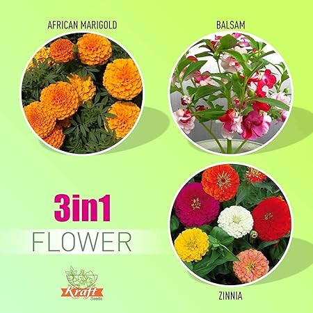 Kraft Seeds Summer Bloom Flower Seeds 3 Varieties in 1 Pack