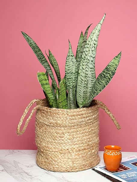 Flyer Jute Basket planters for indoor plants / storage / organizing d