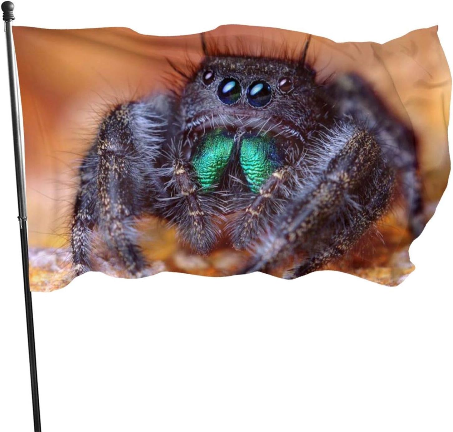 JSICKDMJ 3x5 Ft Polyester Banner Garden Yard House Flags for Outdoor Indoor Decor-Cute Tarantula Spider