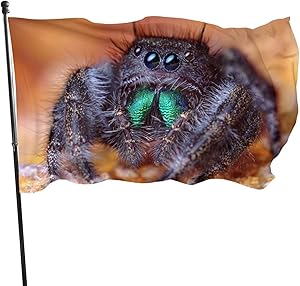 JSICKDMJ 3x5 Ft Polyester Banner Garden Yard House Flags for Outdoor Indoor Decor-Cute Tarantula Spider