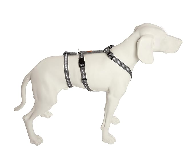 Feltmann Das Original - NoExit Hundegeschirr ® - Sicherheitsgeschirr für Pflegehunde, Panikgeschirr, No Escape - in 7 Größen - jetzt neu gepolsterte Bänder, Made in Germany in 3 erhältlich