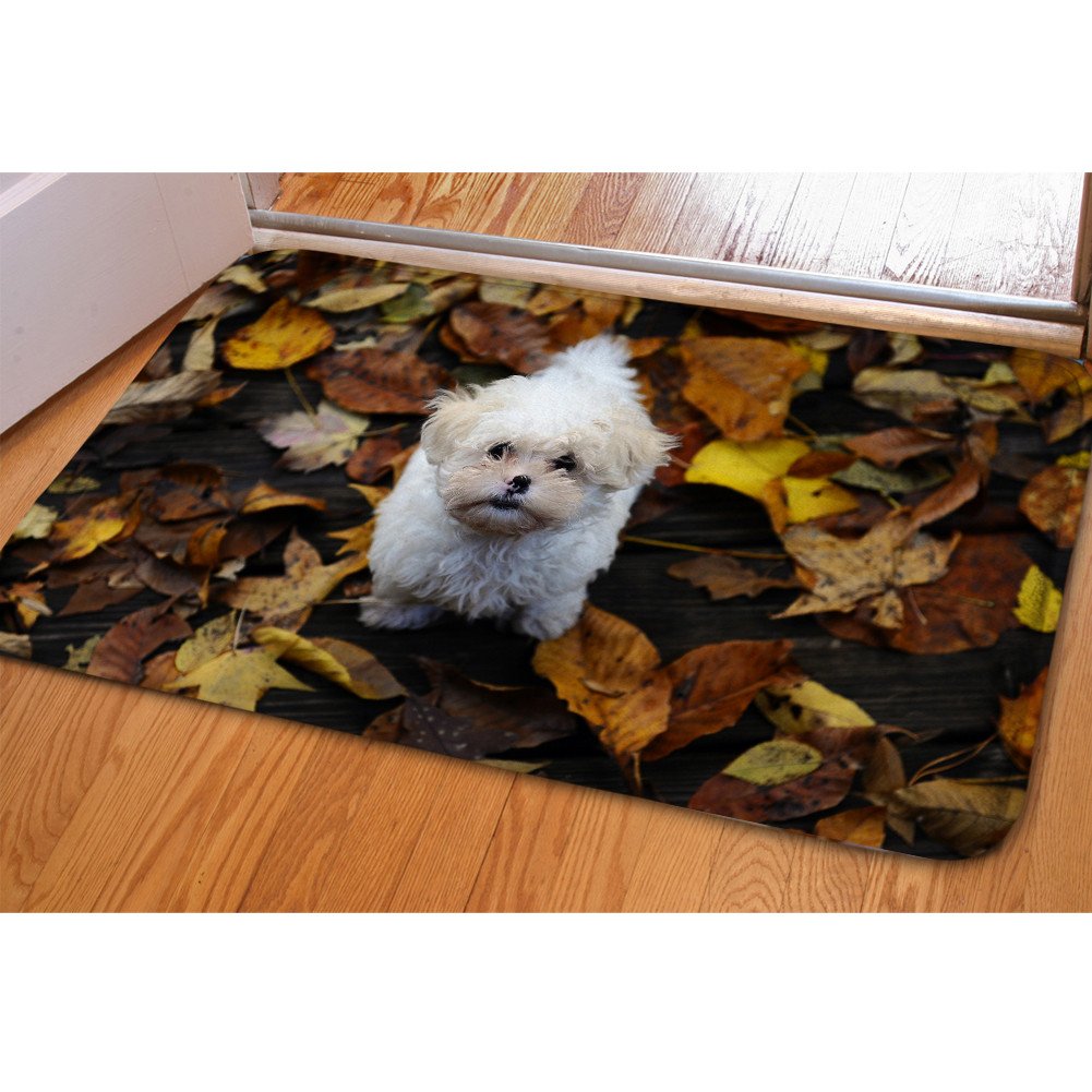 Mumeson Cute Dog Floor Doormat Indoor/Outdoor Floor Mat