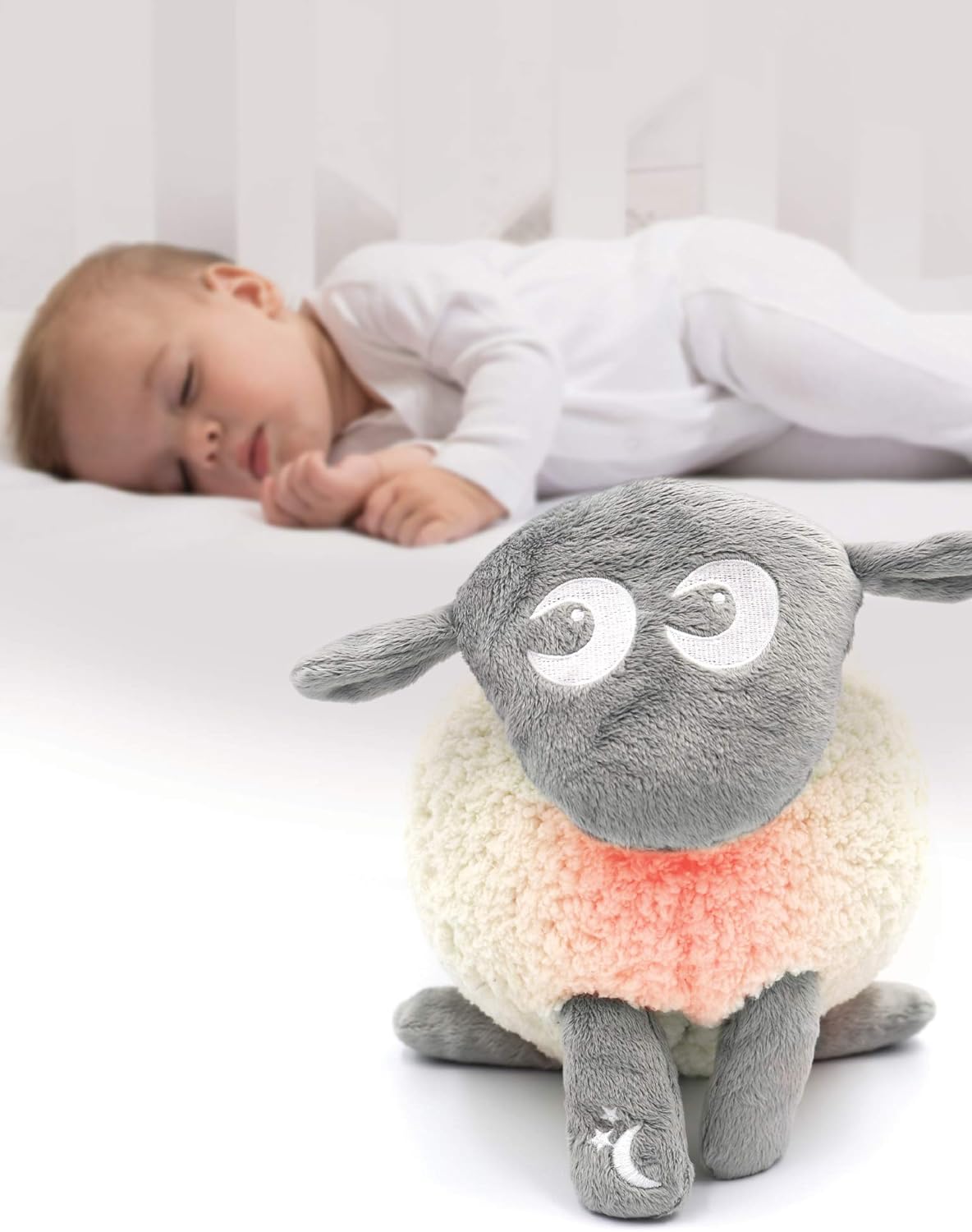 sweet dreamers sheep