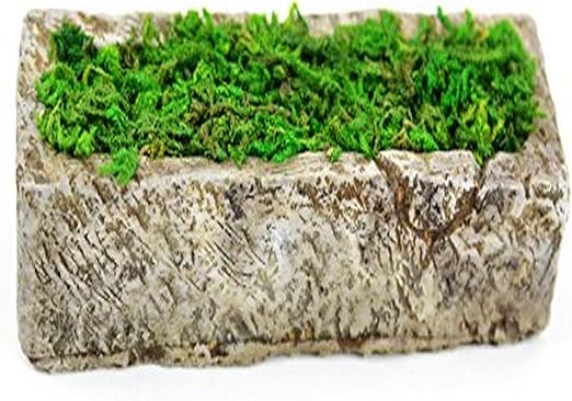 Touch de la Naturaleza 1 Pieza Jardín Miniatura Resina con Musgo ...