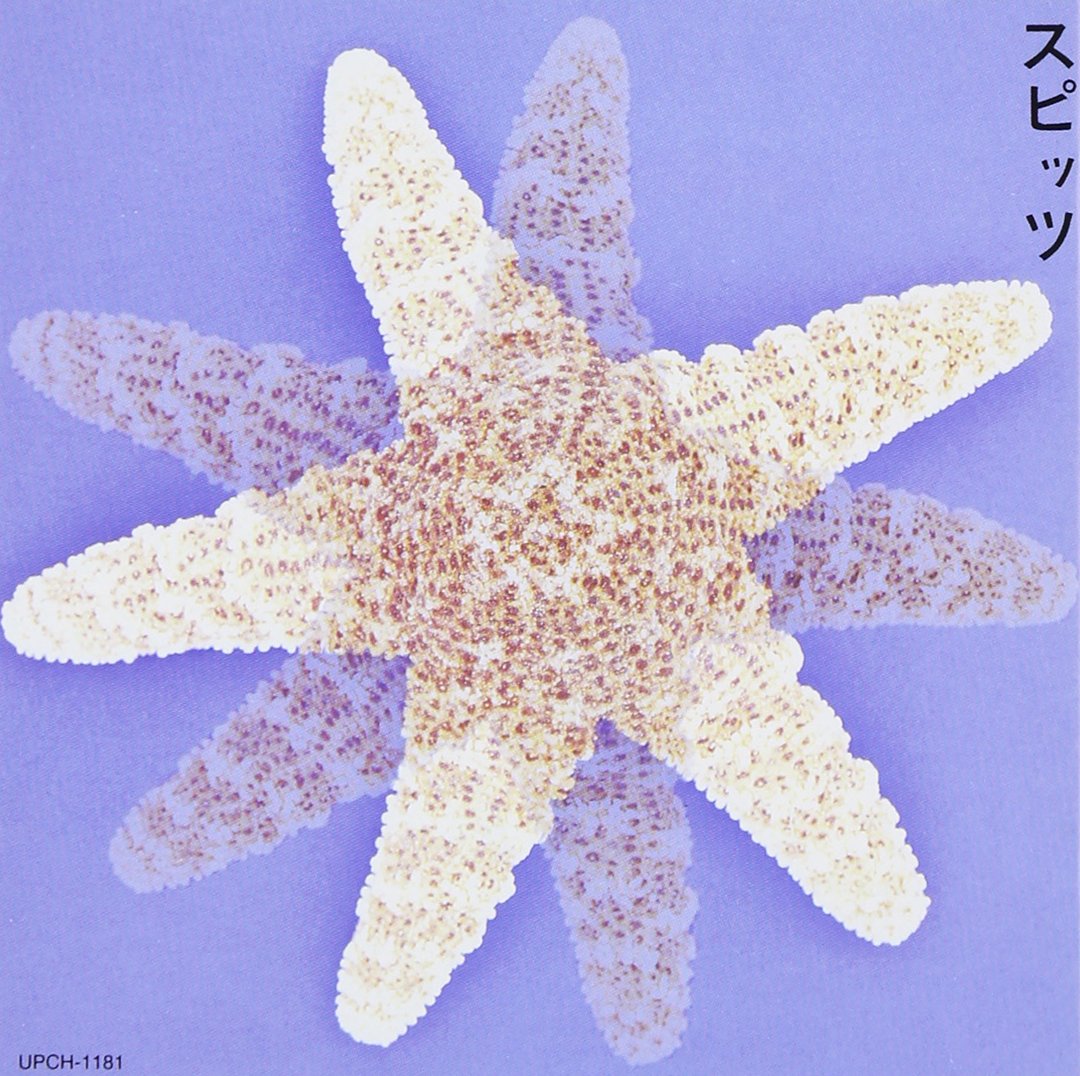 Spitz Spitz Amazon Com Music