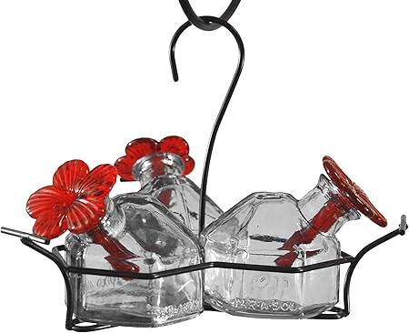 Amazon Com Bouquet 3 Hummingbird Feeder Clear Gift Set