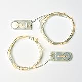 RTGS 2 Sets 15 Warm White Color Micro LED String Lights Battery Operated on 6 Feet Silver Wire (1)