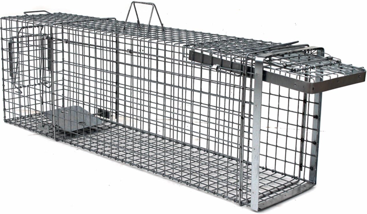 Zielonalapka HARDY. Strong Humane Animal Trap Cage 1 door, Capture Martens, Cats, Otters, Beavers, Foxes, Dogs and Raccoons, Size: 55" (140x34x42 cm) With Extra Bait.