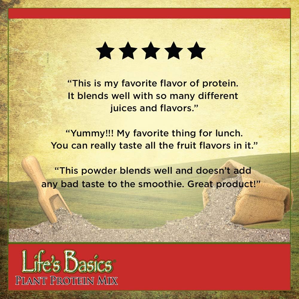 Lifetime Life's Basics Plant Protein Power, 5 Fruit Blend, 21.6-Ounce: Health & Personal Care