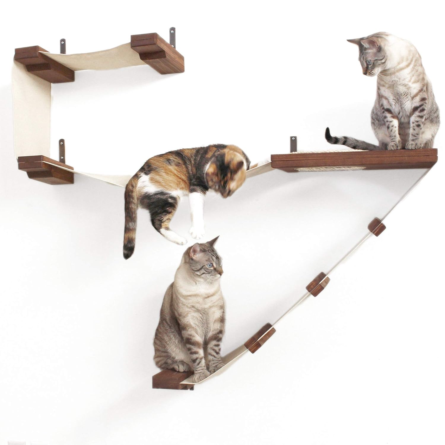 Best Cat Tower With Hammock