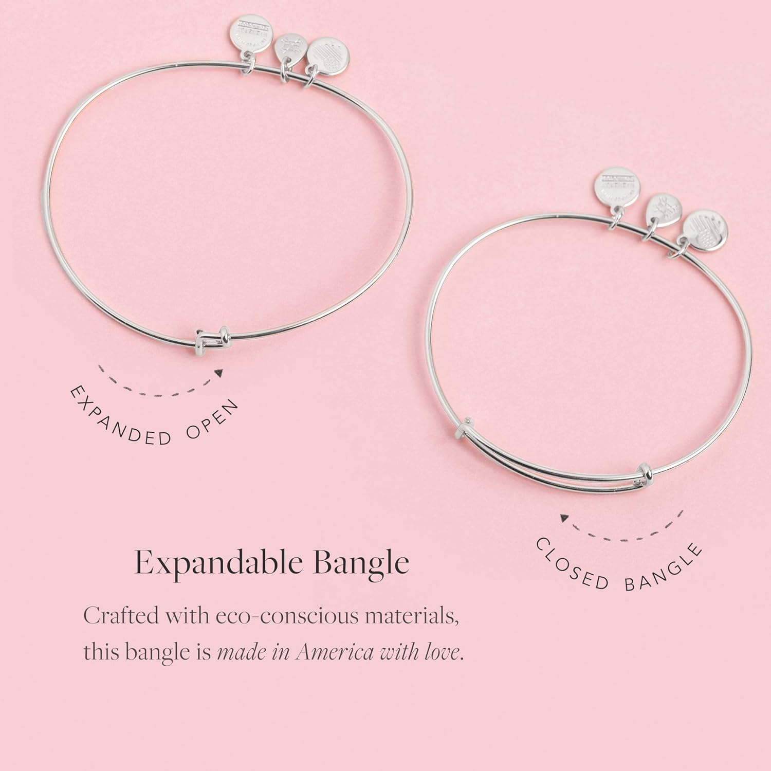 Alex and Ani Soul Sister Expandable Bangle Bracelet for Women, Friendship Inscription Charm, Rafaelian Silver Finish, 2 to 3.5 in: Jewelry