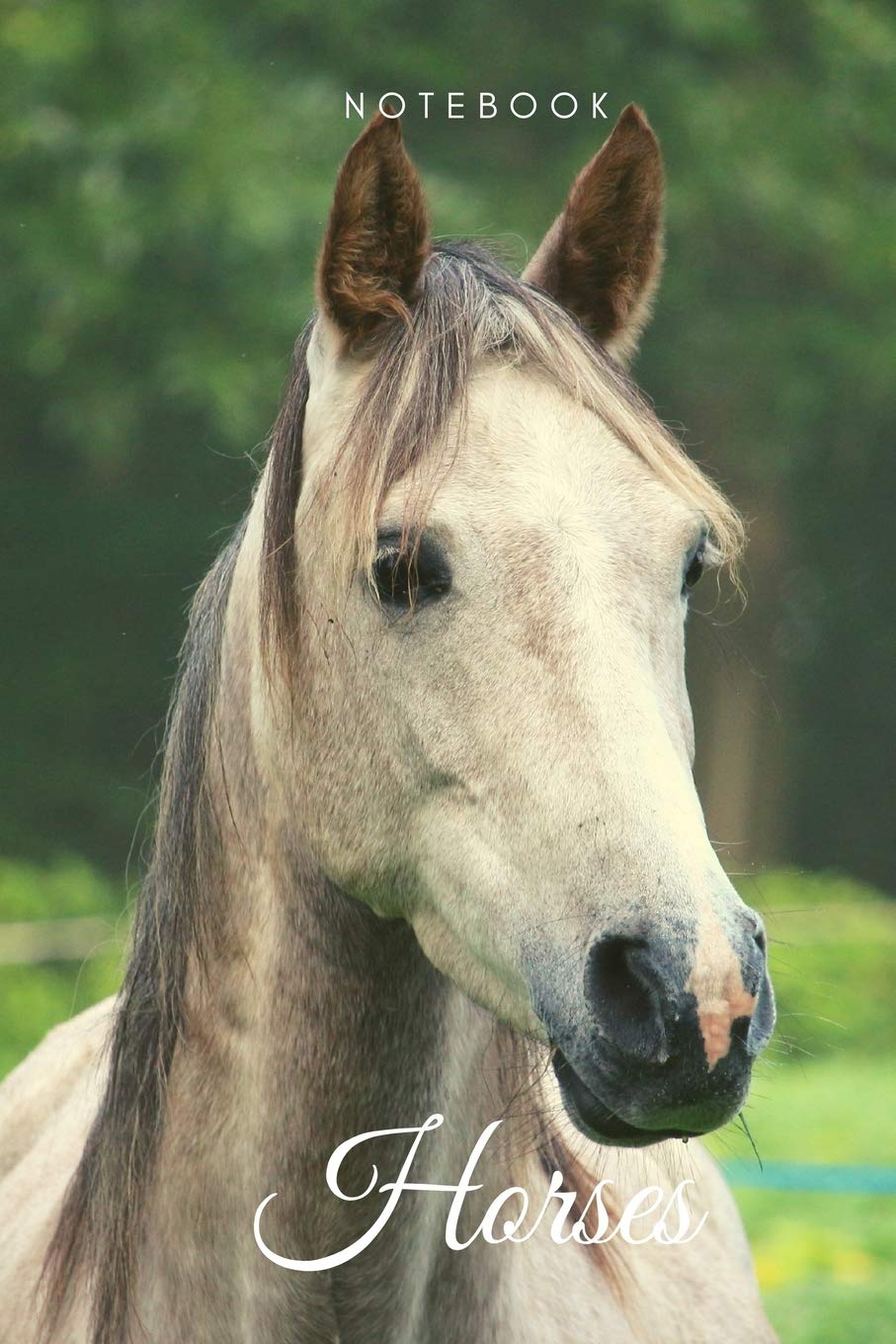 Horses Notebook 6x9 Lines 108 Pages For Journal Notes Diary