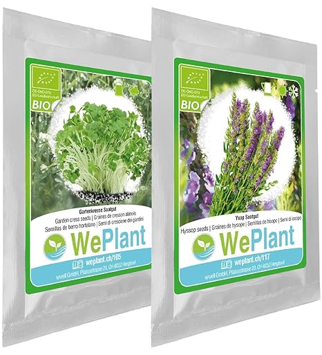 BIO Gartenkresse & Ysop Pflanzen-Samen Set - indoor/outdoor