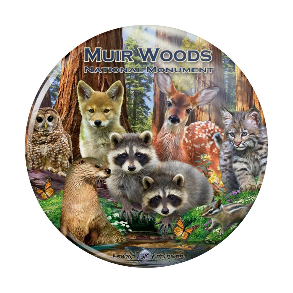 Which Is The Best Refrigerator Magnets With Forest Animals