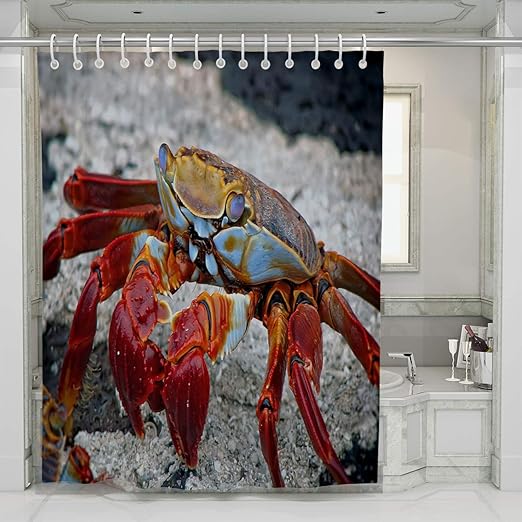 Amazon Com Beisiss Beach Shower Curtain Crab Animals Islands Beach Ecuador Lapagos Islands Tropical Wildlife Perfect For Bathroom Decor With Hooks Home Kitchen