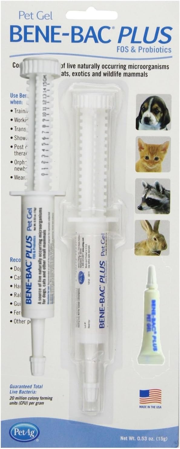 guinea pig probiotic