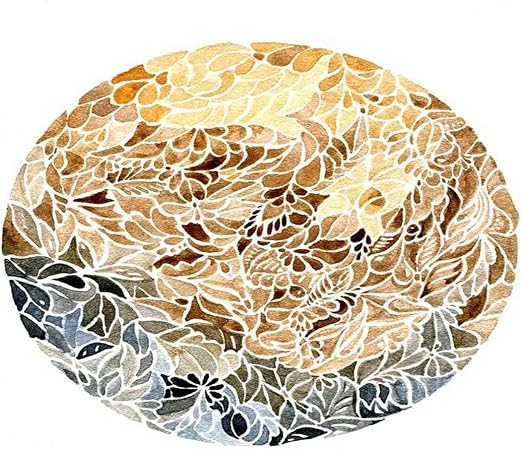 Amazon.com: Ghjxda 5D DIY Diamond Painting Kits Beige Surf Round