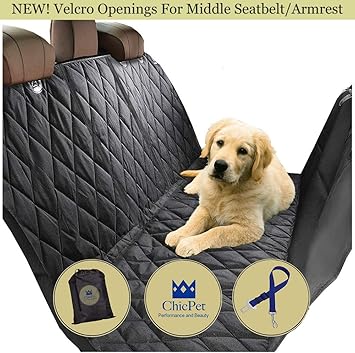 dog seat belt for boot