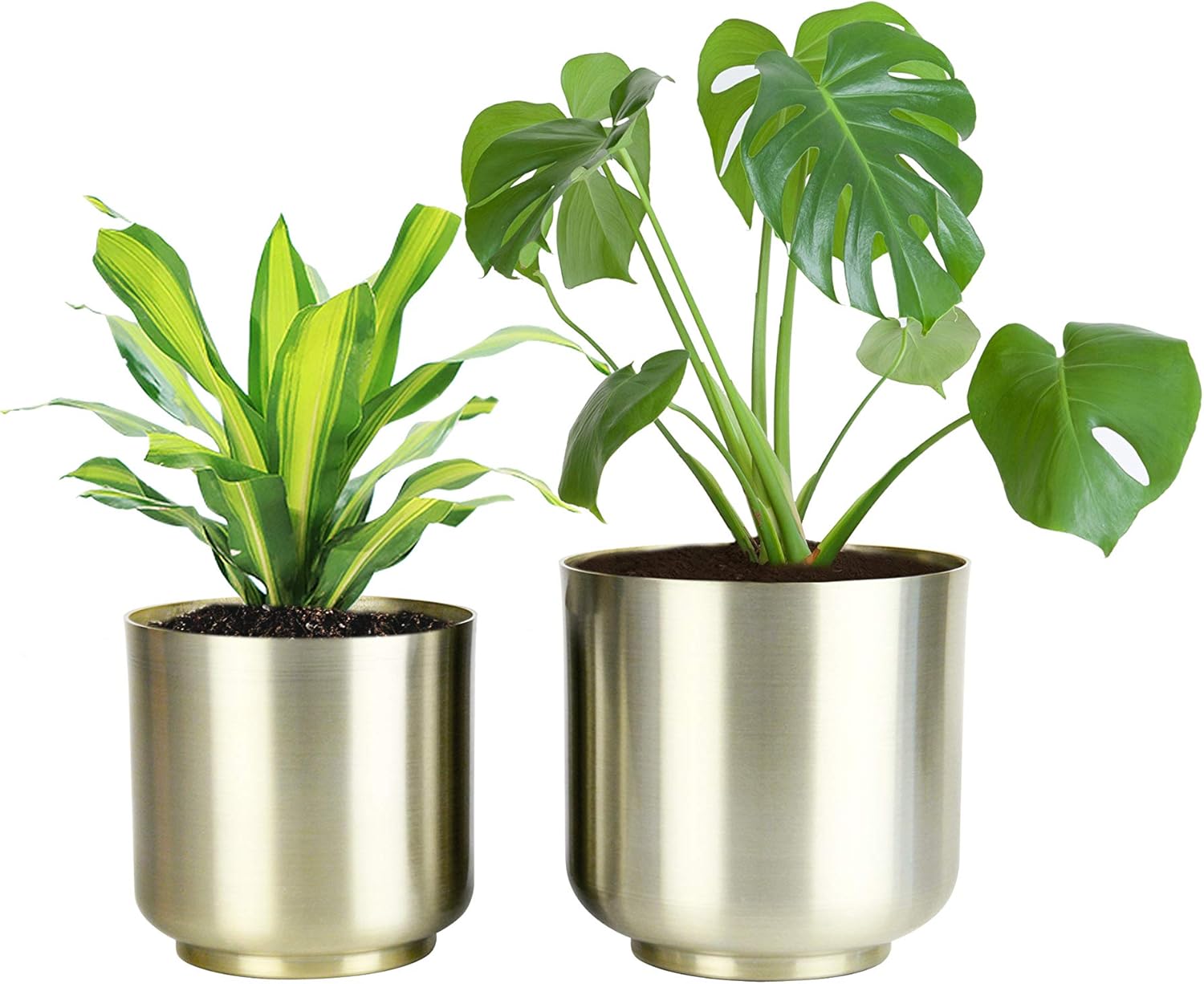 Amazon Co Jp Hofferruffer 植木鉢 おしゃれ プランター 鉢 観葉植物適用 花鉢 排水孔付き 15cm 13cm ゴールド鉢 2点セット 円筒形 アルミ合金 防錆金属鉢 植え木鉢 北欧 ホーム キッチン