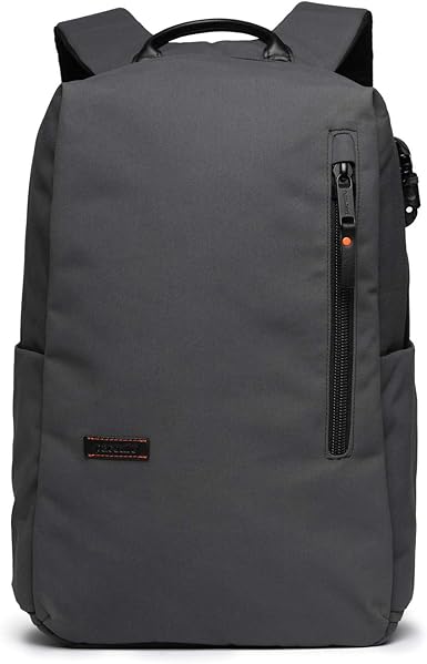 pacsafe gadget pouch