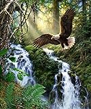 WOWDECORPaint by Numbers Kits for Adults Kids, Number Painting - Eagle Forest Mountain Waterfall Landscape 16x20 inch (Frameless)