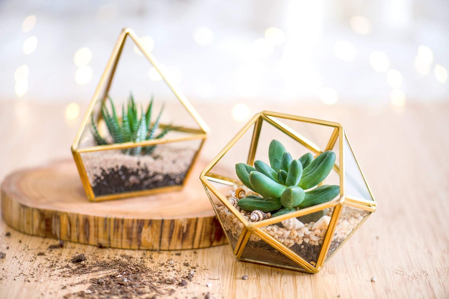 Mkono Mini Glass Geometric Terrarium Container Set of 3 Modern Tabletop Planter Windowsill Decor Shelves DIY Display Box Centerpiece Gift for Succulent Air Plant Miniature Fairy Garden, Gold, 4": Garden & Outdoor