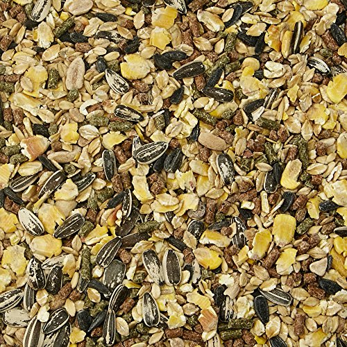 Kaytee Supreme Mouse and Rat Food, 4-lb bag