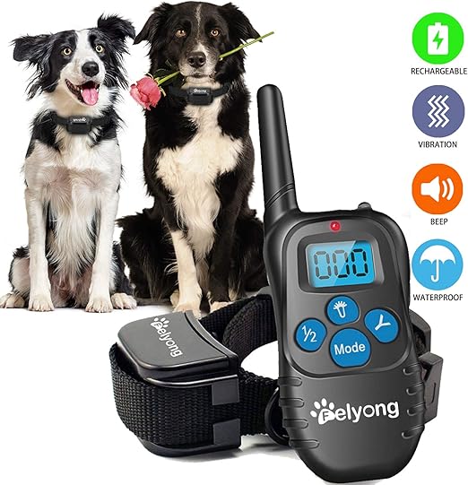 large dog shock collar amazon