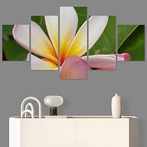 SIGNWIN 5 Panel Canvas Wall Art Pink Fields...