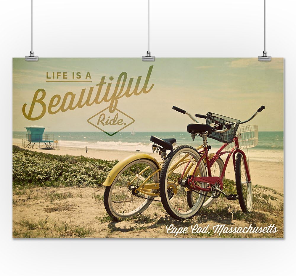 cape cod beach cruiser