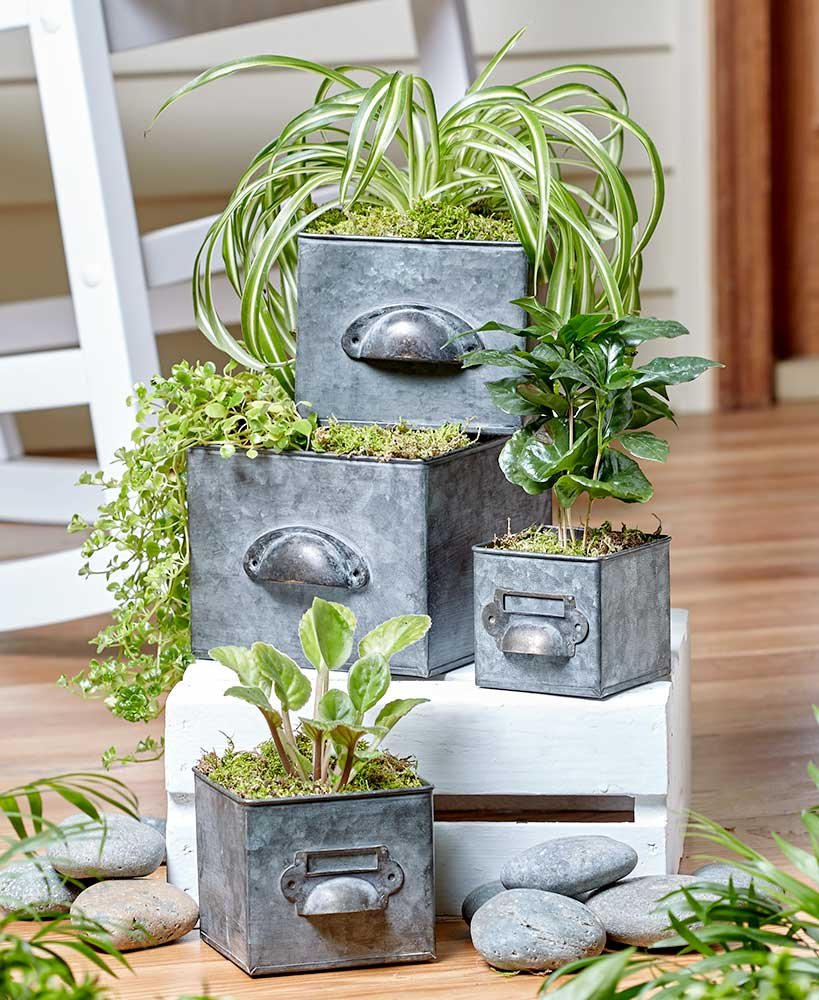 Galvanized Drawer Planters
