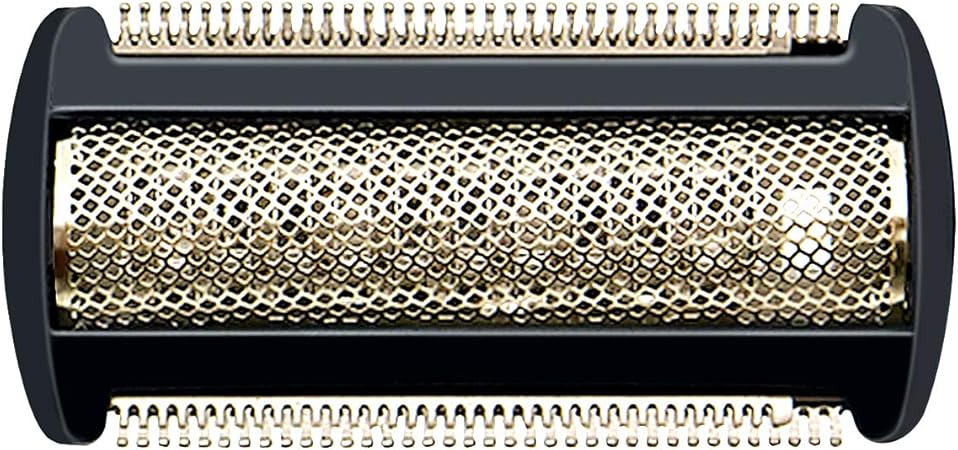 philips bodygroom bg2024 blade