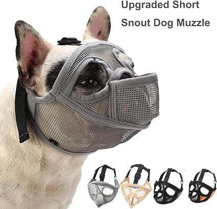 Amazon Com Coppthingktu Dog Muzzles Adjustable Dog Muzzle Dog