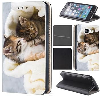 Huawei P20 Lite Hülle Von Coverheld Premium Flipcover Schutzhülle Flip Case Motiv 1036 Katze Katzen Babys Kätzchen Braun Weiß Süß