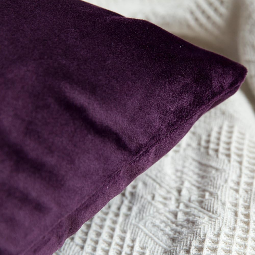 MIULEE Pack of 2 Velvet Soft Decorative Square Throw Pillow Case Cushion Covers Luxury Pillowcases for Livingroom Sofa Bedroom with Invisible Zipper 50 x 50cm 20x20 Inches Aubergine - Image 3